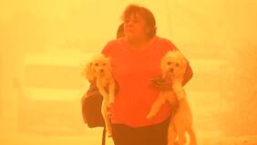 Conaf ratifica que incendio forestal en Quilpué fue intencional