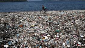 Así son las 5 peligrosas “islas de basura” que están matando a miles de animales y arriesgan a los humanos
