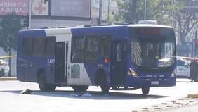 Bus atropelló a una abuela y a sus dos nietos: la mujer y uno de los menores se encuentran en riesgo vital