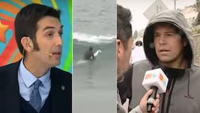 “¡La arrogancia es extrema!“: geólogo se chorea en vivo por insólito argumento de surfista que se metió al mar en Reñaca