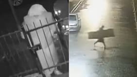 Fue un superhéroe y hasta un león: los antecedentes tras misterioso ladrón que robó disfrazado de monja en el Biobío