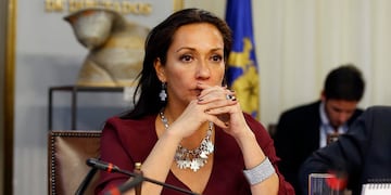 Diputada Marisela Santibáñez PC