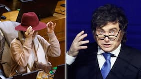 “Qué se cree el simio subnormal“: Conocida exdiputada chilena remece la web con feroz descargo contra Javier Milei