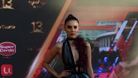 Steffi Méndez se robó las miradas en la Alfombra Roja del Copihue de Oro