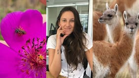 Bárbara Tupper, de Ladera Sur: “El boom de la naturaleza en las redes me parece valioso; al mismo tiempo, me da un poco de miedo”
