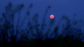 ¿Qué es la Luna Rosa y cuándo se podrá ver en Chile?
