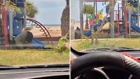 Playa de Chinchorro suma nueva “plaga”: pareja “therian” fue avistada en Arica