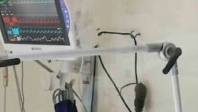 Fotografías evidencian la presencia de ratones en el Hospital de Quilpué