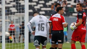 La sentida despedida de Óscar Opazo a paloma que sufrió pelotazo