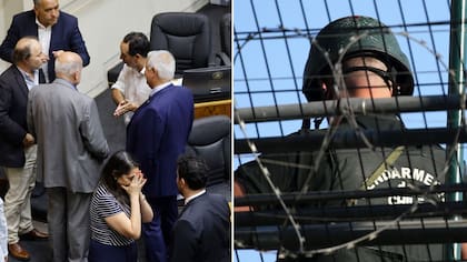 “Una basura”, “vergüenza imborrable”: oficialismo furia por aprobación de proyecto que beneficiaría a violadores y presos por DDHH