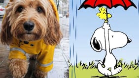 La lluvia no suelta a los capitalinos y vuelve como tú con tu ex: conoce qué días caerán las gotas