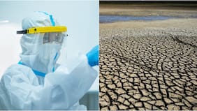 Fuerte advertencia de la OMS: fenómeno de El Niño aumentará las epidemias en Latinoamérica