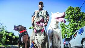 Los nuevos "Pitbull Lovers"