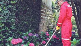 Consejos prácticos para el experto jardinero