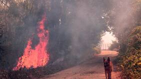“Hay intencionalidad de pirómanos”: gerenta de Conaf aborda el origen de los incendios activos