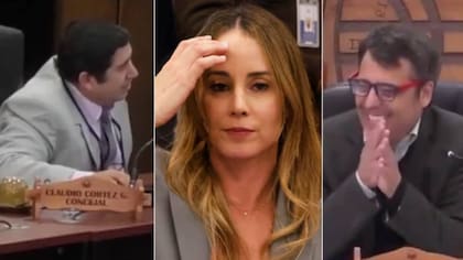“El Sedinés llegó para quedarse”: concejales de Pucón imitaron a vocera y desataron la risa del alcalde en pleno concejo