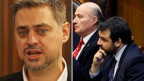Polémico dardo de Manouchehri: Alertó que subsecretario pudo estar drogado cuando negoció la megarreforma