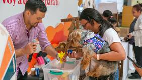 Expo Guau: un fin de semana para para cuidar, adoptar y entretener a los animalitos
