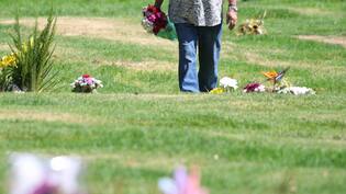 Entró al baño del cementerio y lo violó un vendedor de flores: el grave ataque sexual que remece a Talcahuano
