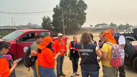 Conoce el monto del Bolsillo Electrónico de Emergencia