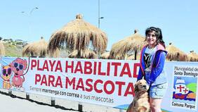 Hasta los gatos nadan a lo perrito en playa para mascotas