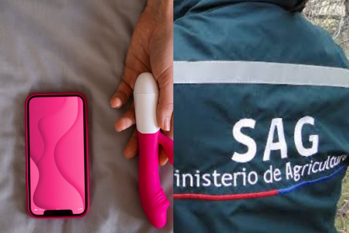 Trabajador del SAG le regaló juguete sexual a compañera y lo echaron