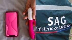 Trabajador del SAG le regaló juguete sexual a compañera y lo echaron