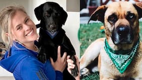 “Me puedo llegar a morir si lo tengo que devolver a la calle”: el llamado de Eliana Albasetti