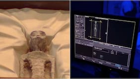 “Marciana” habría estado embarazada: le hicieron tomografías y rayos X a los supuestos cuerpos no humanos