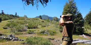 Carabineros-búsqueda-referencial
