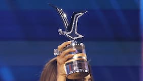 Revela artista que se llevaría la Gaviota de Platino en Viña 2027: se ha presentado dos veces en el Festival