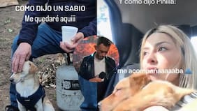 Reversión de Pinilla a canción de Miguel Bosé se convirtió en himno para los amantes de los perros