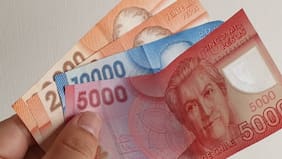 Cuándo se paga el Ingreso Mínimo Garantizado de febrero