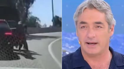 No dejó a nadie quedó indiferente: la opinión de Repenning por conductor que atropelló a delincuente para huir de encerrona