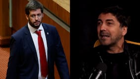 Sigue debate por la gestación subrogada: Diputado Irarrázabal responde a guionista de Papi Ricky y afirma que “comerciar con seres humanos nunca debe ser lícito”