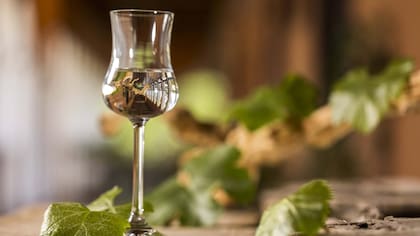 De Limarí a California: pisco chileno artesanal consiguió la plata y el oro en concurso gringo