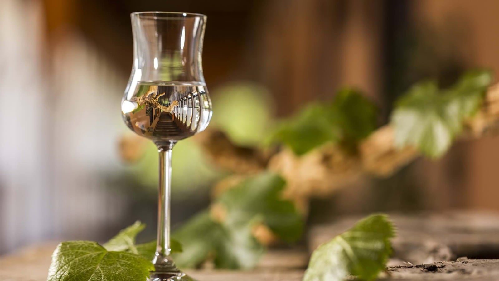 De Limarí a California: pisco chileno artesanal consiguió la plata y el oro en concurso gringo