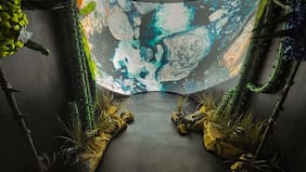 Un viaje inmersivo por los Santuarios de la Naturaleza: La exposición itinerante que busca despertar conciencia ambiental