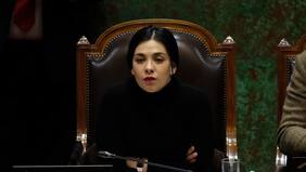 "Quiero comer hartos completos y alcachofas": Karol Cariola da detalles de su embarazo