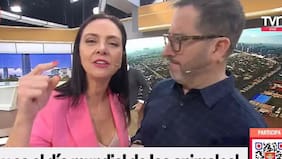 “Maldito, infeliz, desgraciado…”: la graciosa salida de libreto de María Elena Dressel por impasse en matinal de TVN