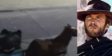 Forajidos que robaban a caballo en Talcahuano fueron detenidos: eran conocidos como los “Carreta Chorros”