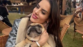 “Adiós hijita. Te amo”: Adriana Barrientos comunicó el triste fallecimiento de su perrita Asia