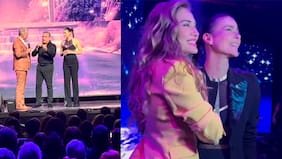 Un halcón volando por el Caupolicán, música, humor, ovación y emoción tuvo el homenaje a Camiroaga para reunir fondos para la fundación que lleva su nombre