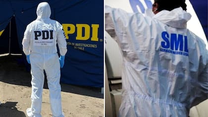 Horror en Valparaíso por ataque de adulto mayor a exyerno: lo mató de hachazo en la cabeza y menores vieron la escena