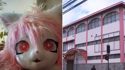 ¿Vuelco total? Colegio revela que video descartaría versión de la niña de 10 años que acusó brutal golpiza por “therian”