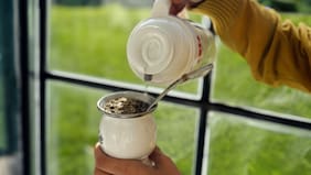 El mate se fortalece como aliado de la salud: nuevo estudio revela que regula glucosa y apetito