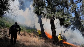 Detienen a mujer acusada de provocar incendio forestal en Los Sauces donde fallecieron tres brigadistas