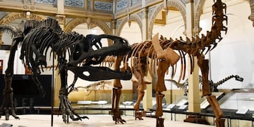 Vacaciones de verano