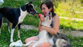 Perritos buscan hogar tras fallecimiento de su dueña por un cáncer