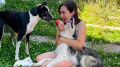 Perritos buscan hogar tras fallecimiento de su dueña por un cáncer